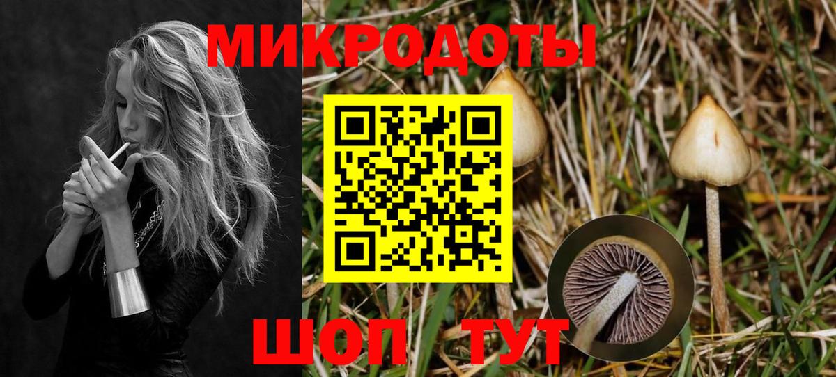 Галлюциногенные грибы GOLDEN TEACHER Ногинск