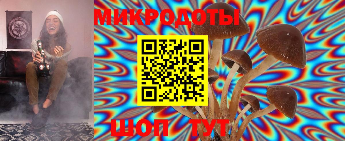 Галлюциногенные грибы MAGIC MUSHROOMS  где купить наркоту  Ногинск  Вход с VPN  Псилоцибиновые грибы GOLDEN TEACHER 